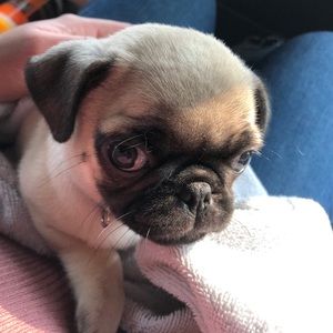 Meet your Posher, Erika